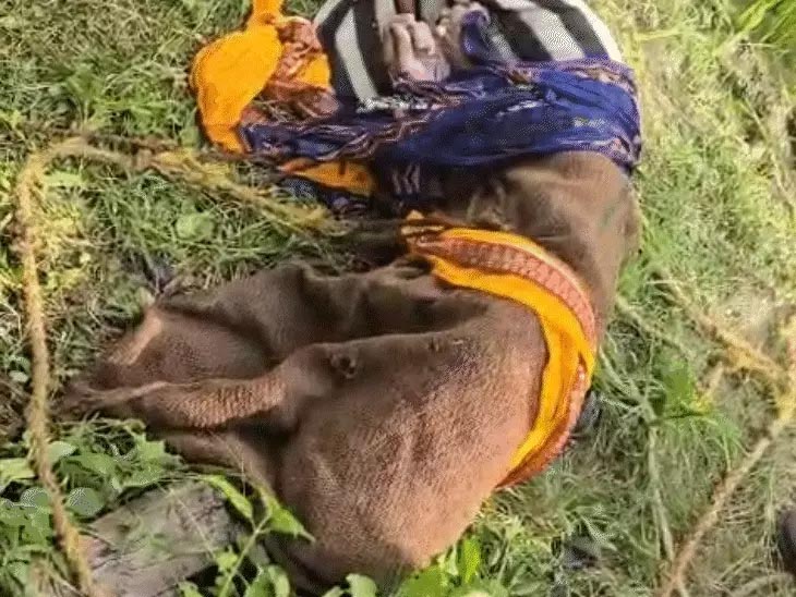 1757078561 Untitled 8 copy